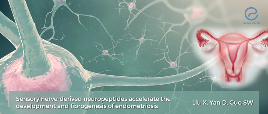 Fibrogenesis in endometriosis: The role of neuropeptides