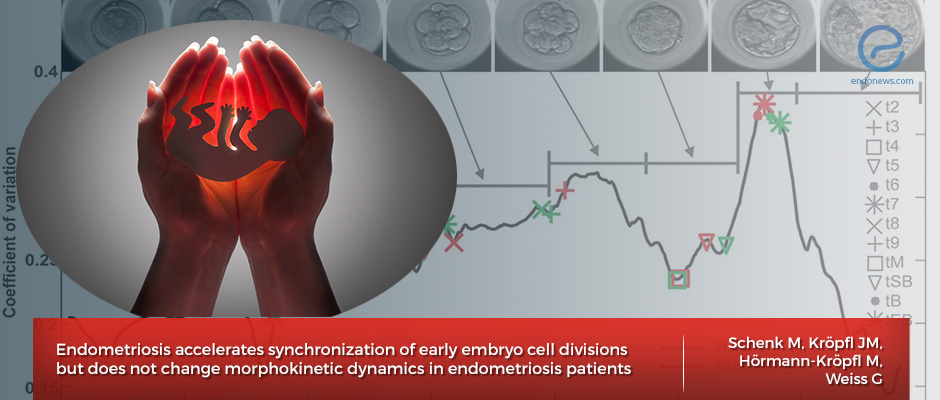 Impact of Endometriosis on Embryo Development