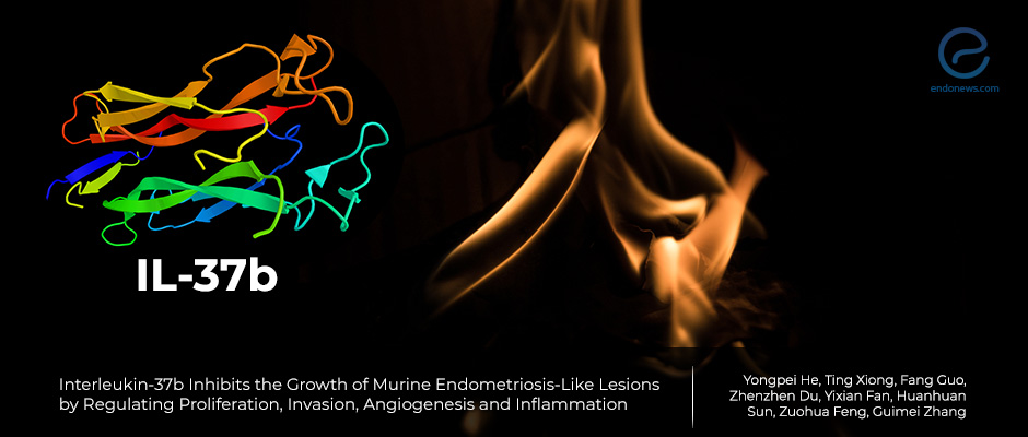 Interleukin-37b inhibits the growth of murine endometriosis-like lesions