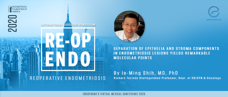 Separation of epithelia and stroma components in endometriosis lesions yields remarkable molecular points - Ie-Ming Shih, MD, Ph.D.