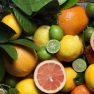 Citrus Fruits May Reduce the Risk of Endometriosis 