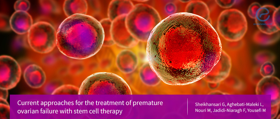 Stem cell therapy for the premature ovarian failure 