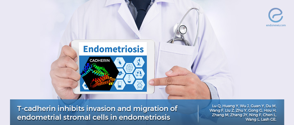 Does T-cadherin have a role in endometriosis?