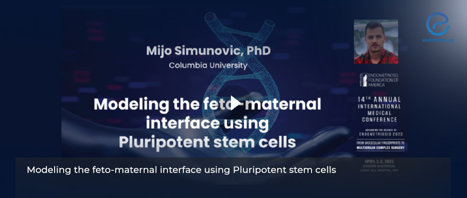 ​Modeling the feto-maternal interface using pluripotent stem cells 
