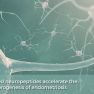 Fibrogenesis in endometriosis: The role of neuropeptides