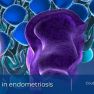 Searching new biomarkers for endometriosis