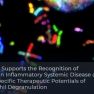 Genomic evidence: The recognition of endometriosis as an inflammatory systemic disease
