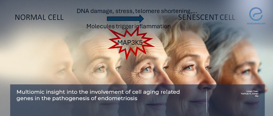 Cell-Aging-Related Pathways Linked to Endometriosis Pathogenesis