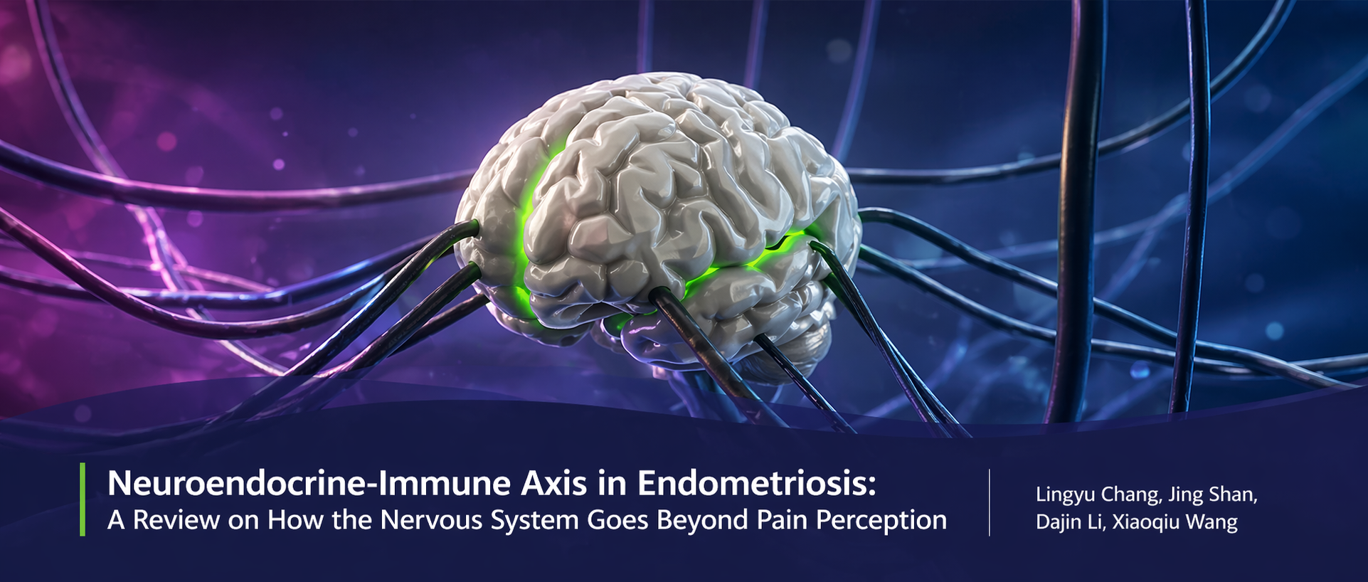 Beyond Pain: The Neuroendocrine–Immune Axis in Endometriosis