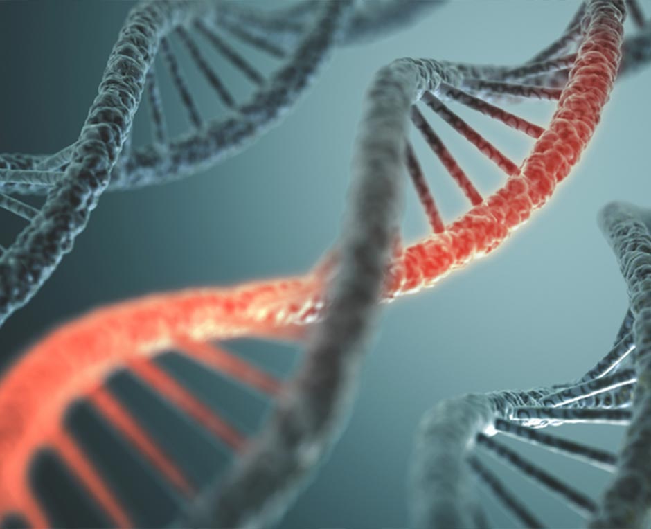 Genetic Variations May Link Risk of Endometriosis and Ovarian Cancer 