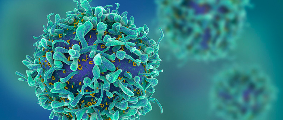 Immune Response in Endometriosis and Regulatory T cells