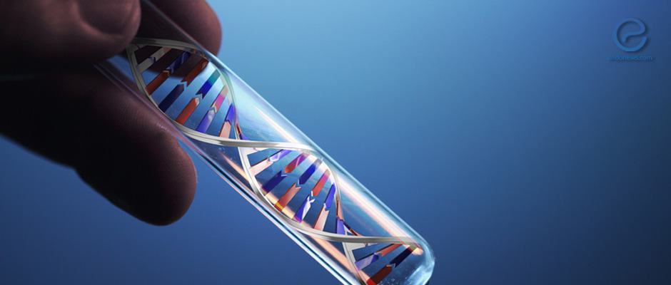 New Genetic Variants Associated with Endometriosis May Offer New Opportunities