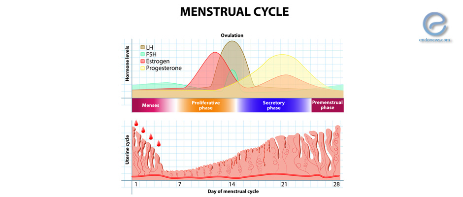 Glycodelin and altered endometrial function in endometriosis
