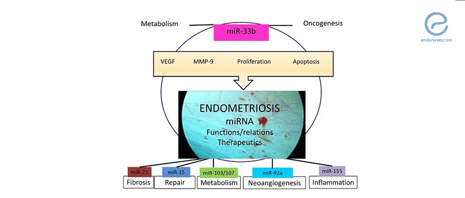 The Potential Molecular Mechanisms that Drive Endometriosis Progression