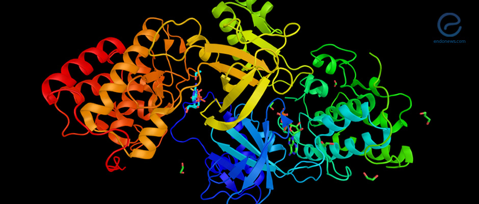 Mitogen-Activated Protein Kinase p38 modulates Inflammation in Endometriosis 