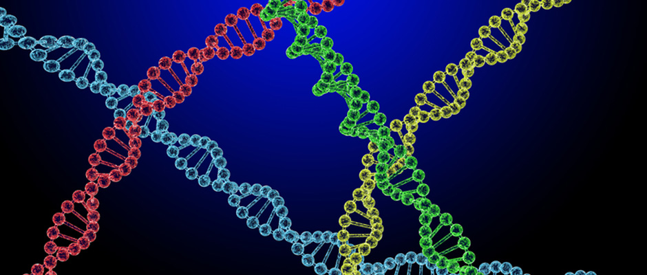 N-myc Downstream-Regulated Gene 1 and Endometriosis.