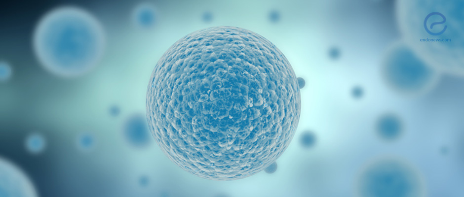 Endometrial stem cells and Endometriosis