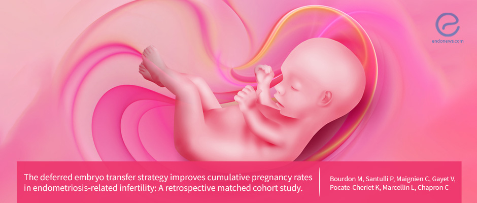 Most Effective Embryo Transfer Strategy