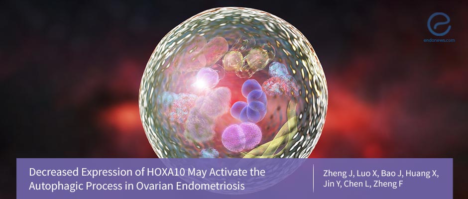 HOXA10: A Culprit in Endometriosis Disease Progression