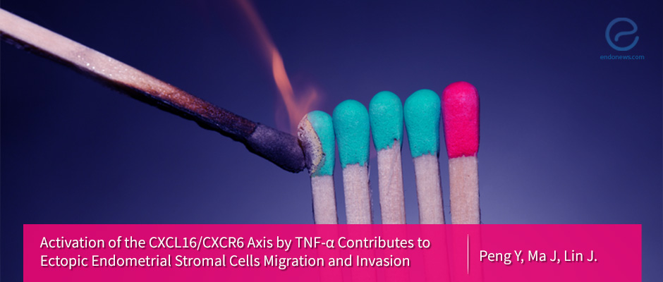 Inflammatory molecules promote the migration and invasion of endometriosis cells
