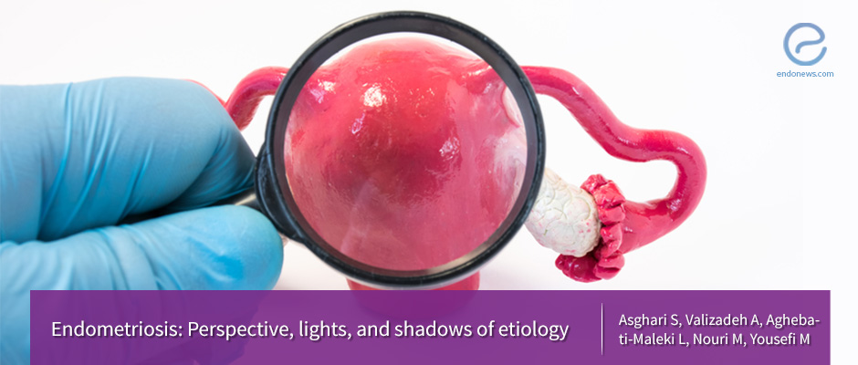 Expert discussion on mechanisms of endometriosis development and progression