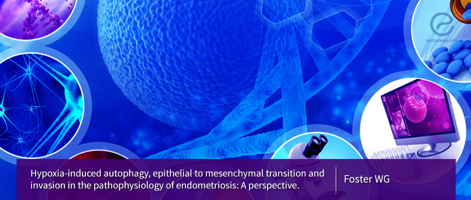 Commentary on major developments in the pathophysiology of endometriosis