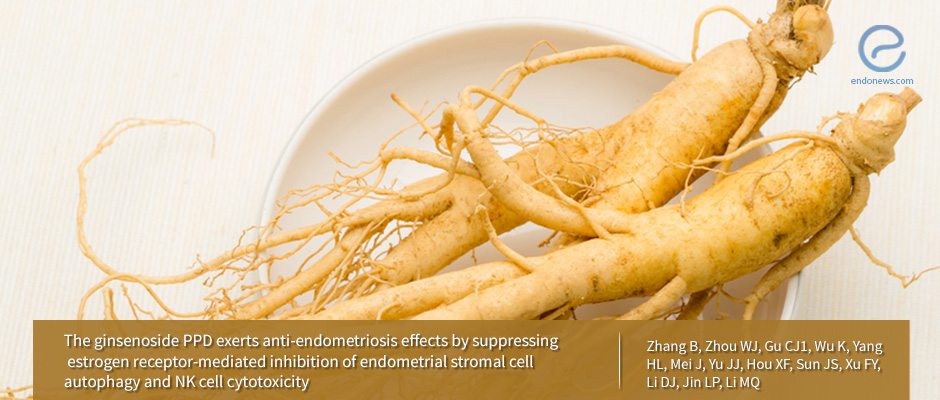 Therapeutic potential of ginseng based compound in preclinical models of endometriosis 