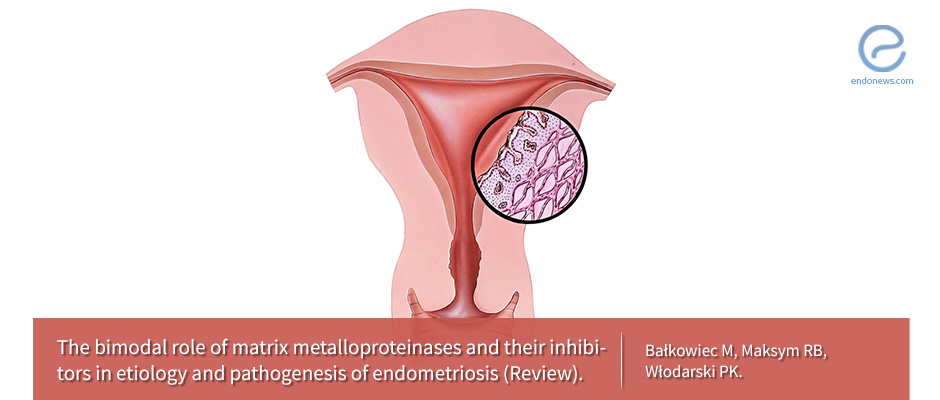 A Balancing Act: How Endometriosis Invades the Body