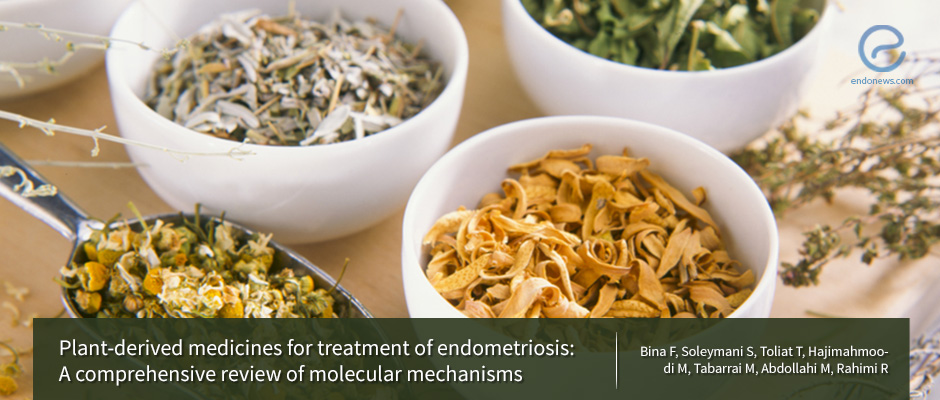 Presumed molecular mechanisms for herbal medicinal therapies in endometriosis