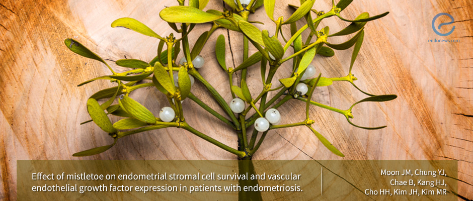 Mistletoe as a Potential Candidate for Endometriosis Treatment