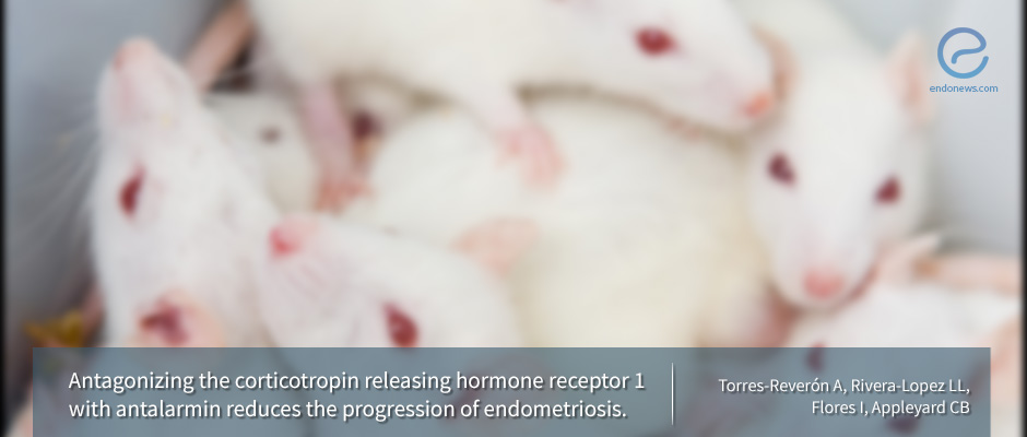 Can we prevent the progression of endometriosis?