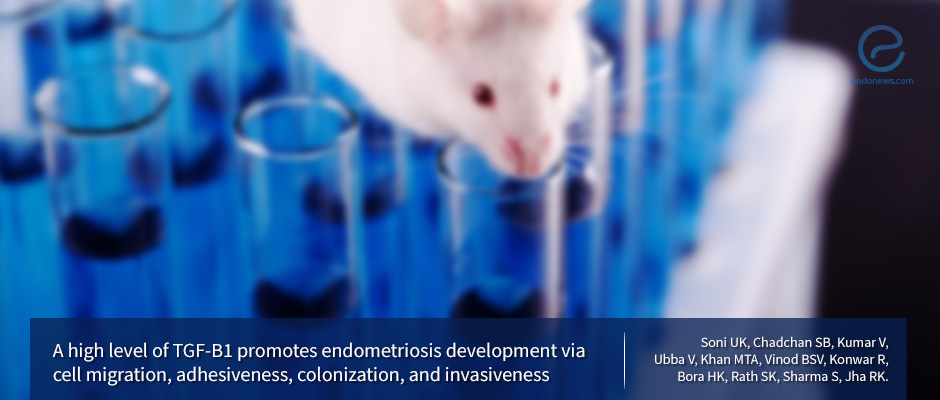 Study Sheds Light on the Molecular Mechanism of Endometriosis Development