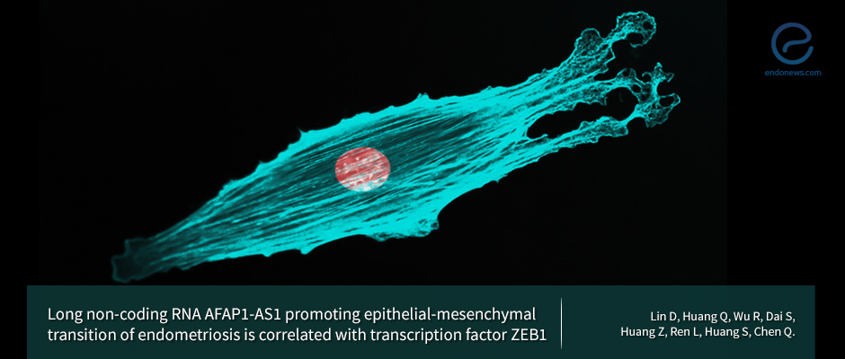 Long non‐coding RNA, Epithelial mesenchymal transition, and Endometriosis