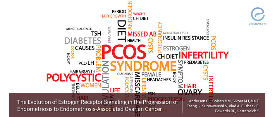 Estrogen Receptor Signaling and Endometriosis-Associated Ovarian Cancer