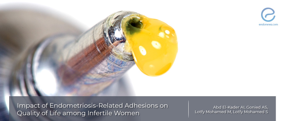 Impact of Endometriosis-Related Adhesions on Quality of Life among Infertile Women