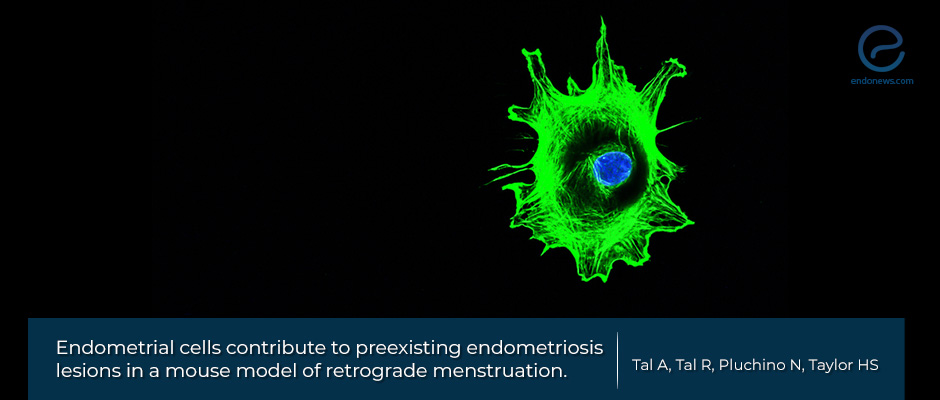 Endometrial single cells to contribute preexisting endometriosis.