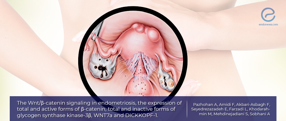 The Wnt/b-catenin signaling in endometriosis