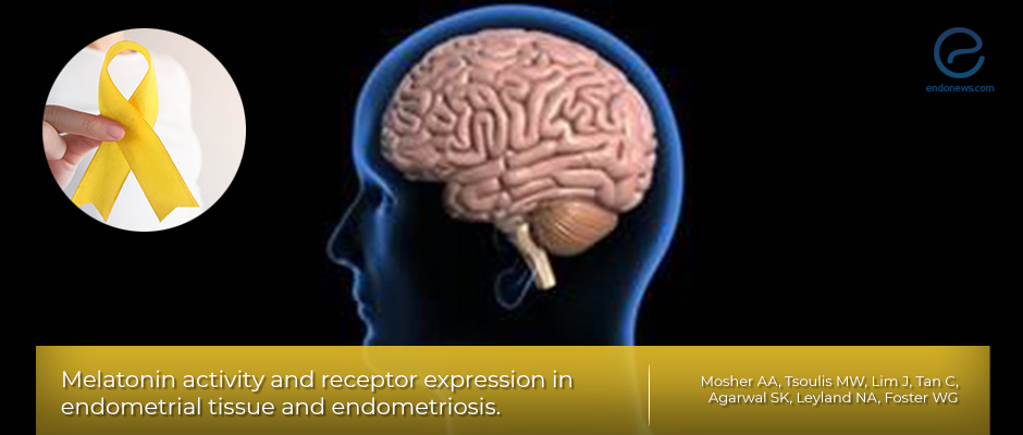 Melatonin receptors and their role in endometrial cell proliferation  