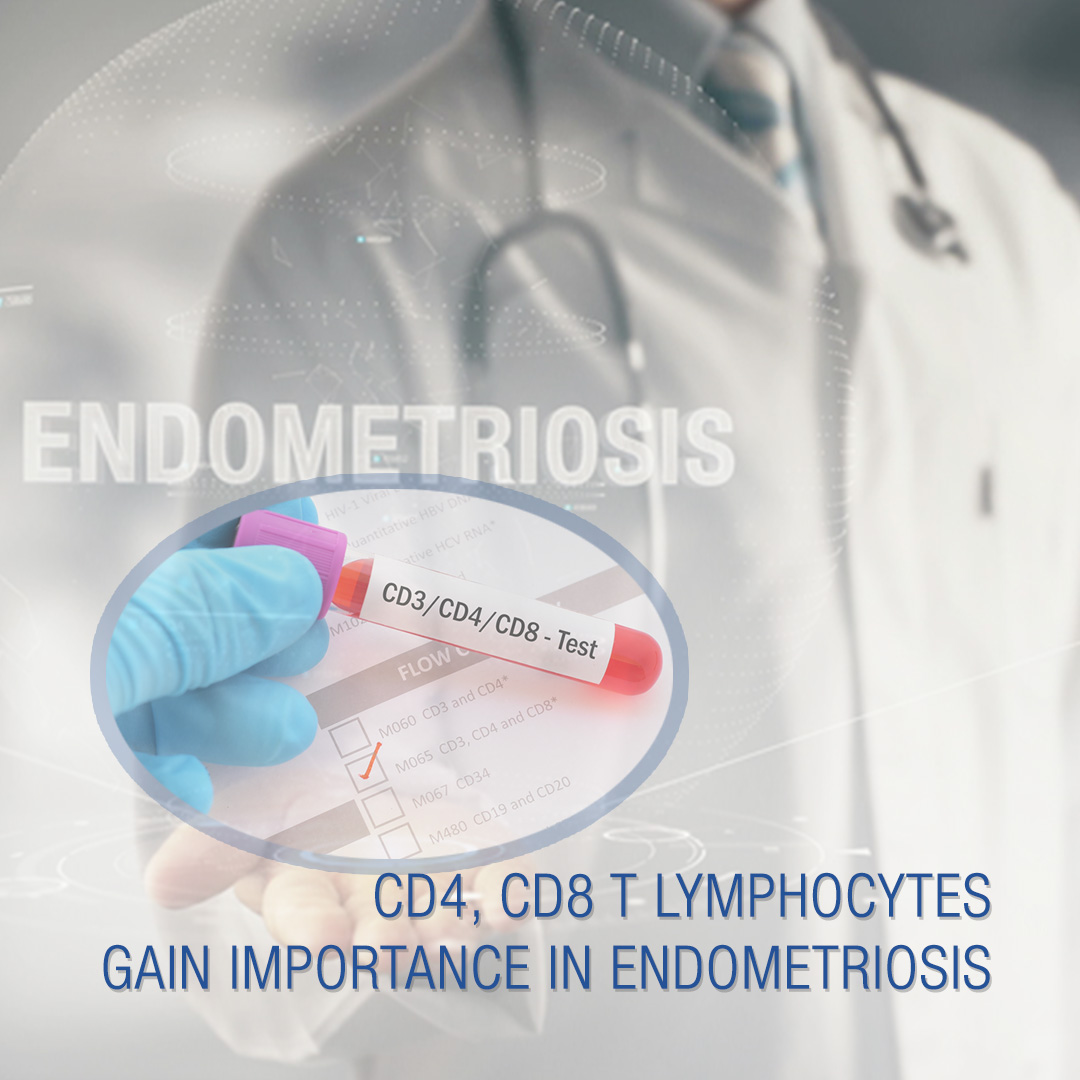 CD4, CD8 T lymphocytes gain importance in endometriosis | EndoNews