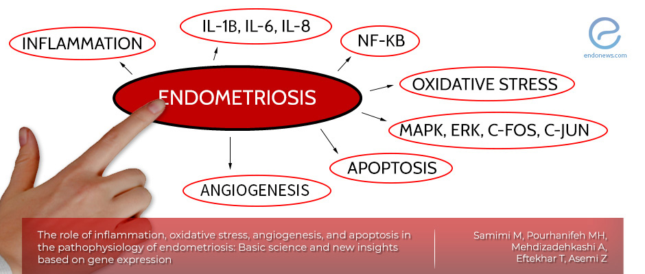 The role of inflammation, oxidative stress, angiogenesis, and apoptosis in the pathophysiology of endometriosis