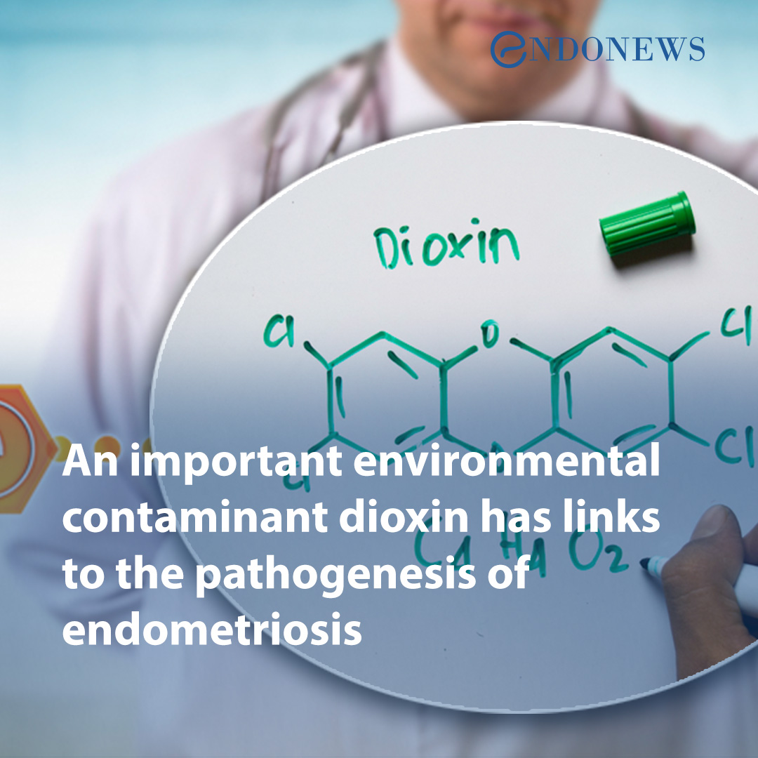 An important environmental contaminant dioxin has links to the