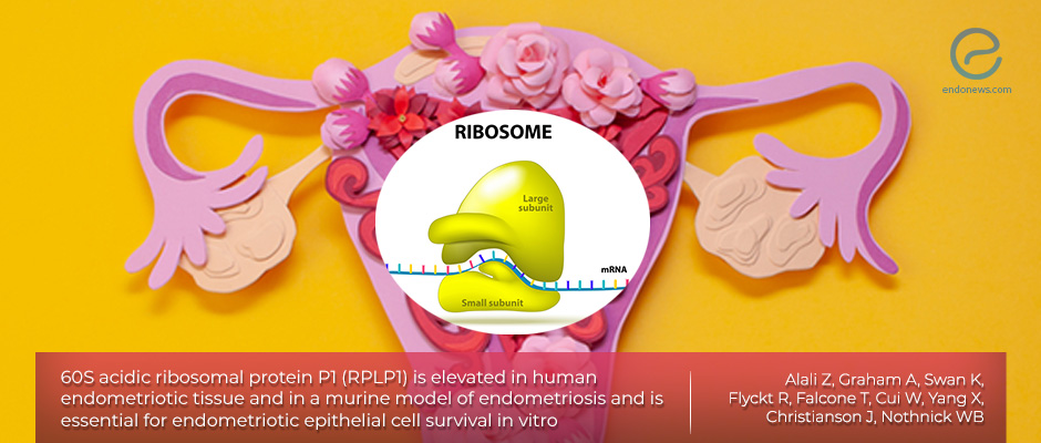 The role of acidic ribosomal protein P1 in Endometriosis