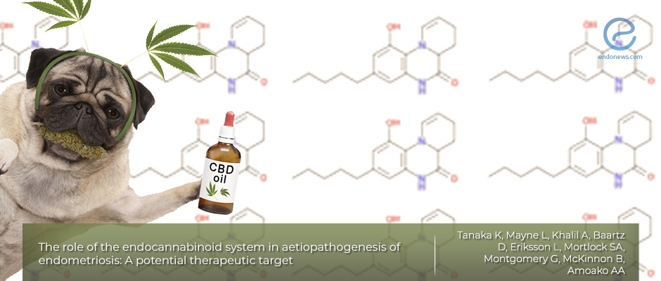 Understanding endocannabinoid system in endometriosis