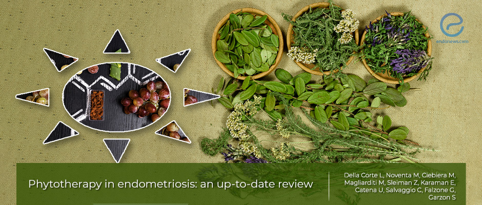 Phytotherapy as an alternative endometriosis treatment