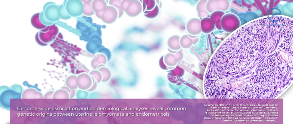 Leiomyomas have similar genetic background with endometriosis
