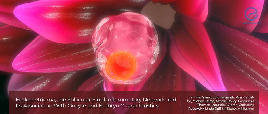 Endometrioma, follicular fluid, oocyte and embryo