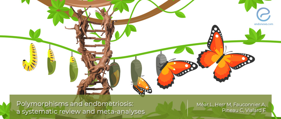 Polymorphisms and endometriosis: a systematic review and meta-analyses.