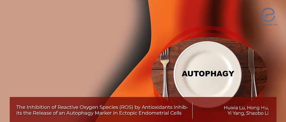 Antioxidants inhibit autophagy in ectopic endometrial cells