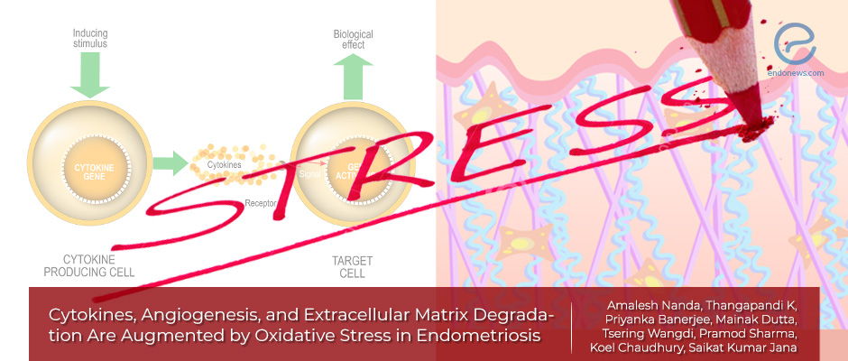 Oxidative stress leads to elevated cytokines, excessive structural damage and angiogenesis