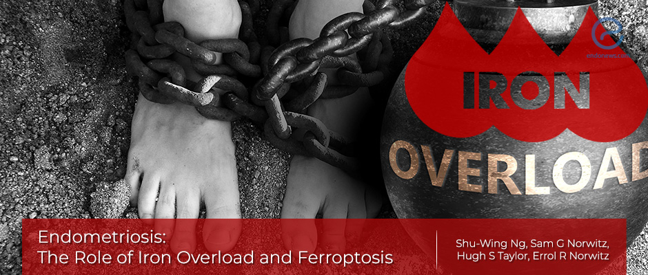 Defective “ferroptosis”: a new pathogenetic explanation of endometriosis